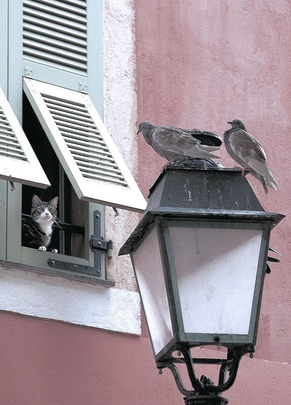 开云LOL-中国男篮提升外线空位出手的稳定性，中国男篮提升外线空位出手的稳定性