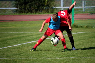 开云中国大陆-足球俱乐部建设标准发布 加强青训基地建设，足球俱乐部青训招生